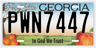 GA license plate PWN7447