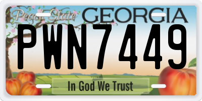GA license plate PWN7449