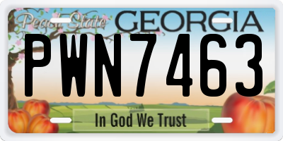 GA license plate PWN7463