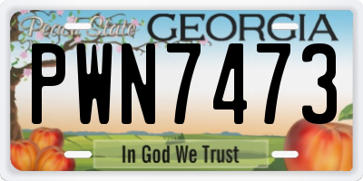 GA license plate PWN7473