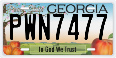 GA license plate PWN7477