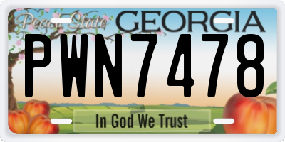 GA license plate PWN7478