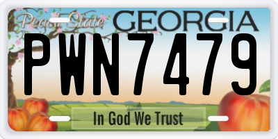 GA license plate PWN7479