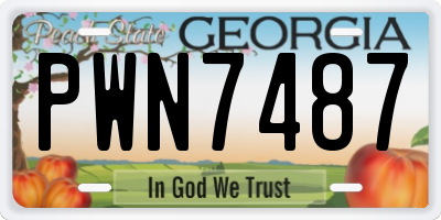 GA license plate PWN7487