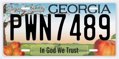 GA license plate PWN7489