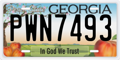 GA license plate PWN7493