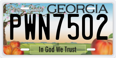 GA license plate PWN7502