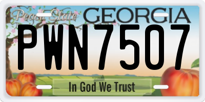 GA license plate PWN7507