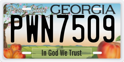 GA license plate PWN7509