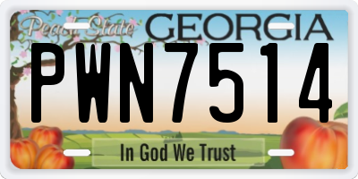 GA license plate PWN7514