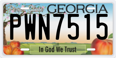 GA license plate PWN7515