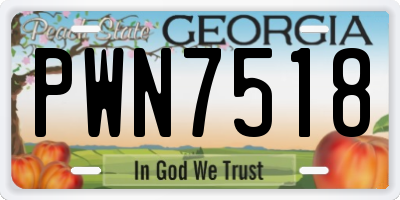 GA license plate PWN7518