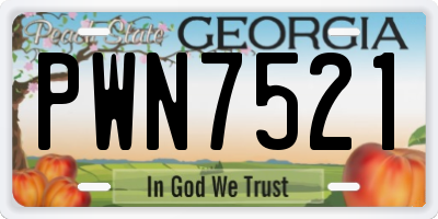 GA license plate PWN7521