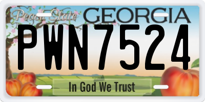 GA license plate PWN7524
