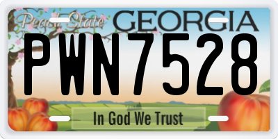 GA license plate PWN7528