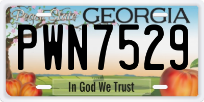 GA license plate PWN7529