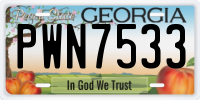 GA license plate PWN7533