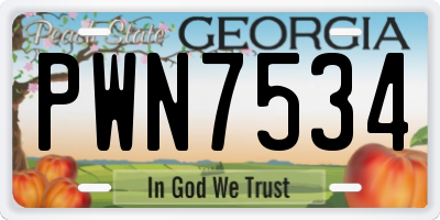 GA license plate PWN7534