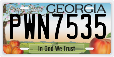 GA license plate PWN7535