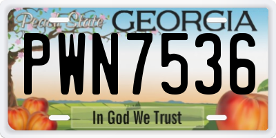 GA license plate PWN7536