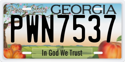 GA license plate PWN7537