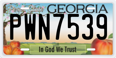 GA license plate PWN7539
