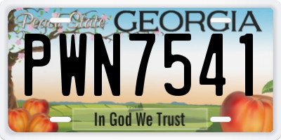GA license plate PWN7541