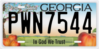 GA license plate PWN7544
