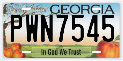 GA license plate PWN7545