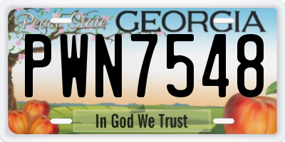 GA license plate PWN7548