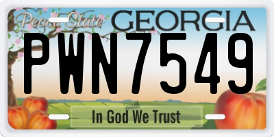 GA license plate PWN7549