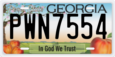 GA license plate PWN7554