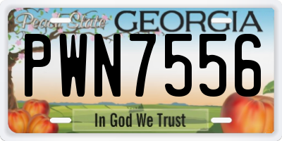 GA license plate PWN7556