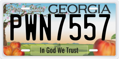 GA license plate PWN7557