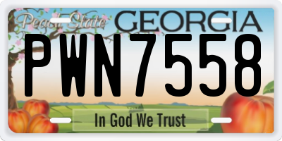 GA license plate PWN7558
