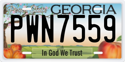 GA license plate PWN7559