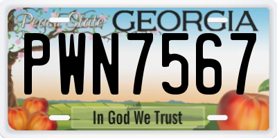 GA license plate PWN7567