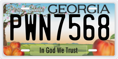 GA license plate PWN7568