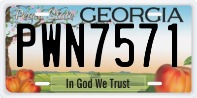 GA license plate PWN7571