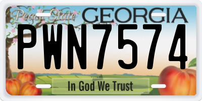 GA license plate PWN7574