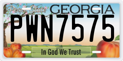 GA license plate PWN7575