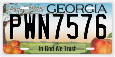 GA license plate PWN7576