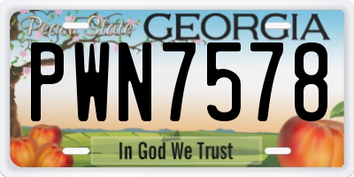 GA license plate PWN7578