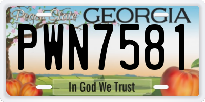 GA license plate PWN7581
