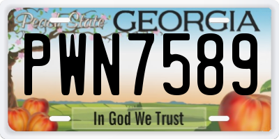 GA license plate PWN7589