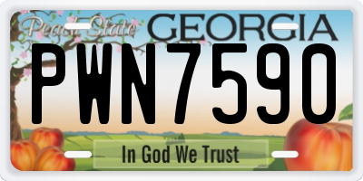 GA license plate PWN7590