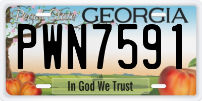 GA license plate PWN7591