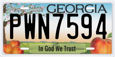 GA license plate PWN7594