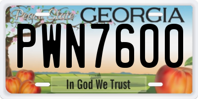 GA license plate PWN7600
