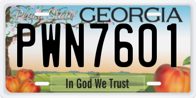GA license plate PWN7601